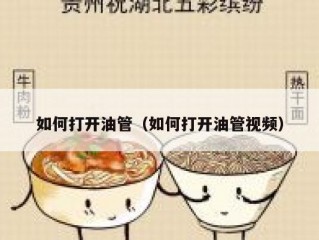 如何打开油管（如何打开油管视频）