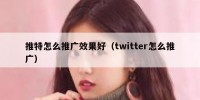 推特怎么推广效果好（twitter怎么推广）