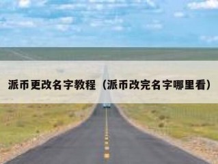 派币更改名字教程（派币改完名字哪里看）