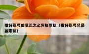 推特账号被限流怎么恢复原状（推特账号总是被限制）