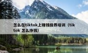 怎么在tiktok上赚钱极界培训（tiktok 怎么挣钱）