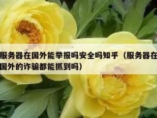 服务器在国外能举报吗安全吗知乎（服务器在国外的诈骗都能抓到吗）