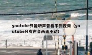 youtube只能听声音看不到视频（youtube只有声音画面不动）