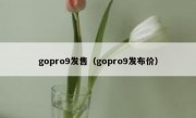 gopro9发售（gopro9发布价）