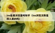 ins能看浏览量吗知乎（ins浏览次数是按人算的吗）