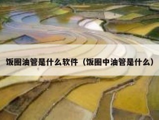 饭圈油管是什么软件（饭圈中油管是什么）