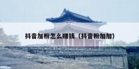 抖音加粉怎么赚钱（抖音粉加加）