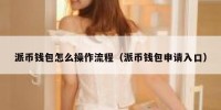 派币钱包怎么操作流程（派币钱包申请入口）