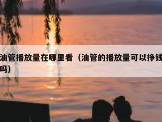 油管播放量在哪里看（油管的播放量可以挣钱吗）