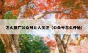 怎么推广公众号让人关注（公众号怎么开通）