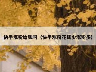 快手涨粉给钱吗（快手涨粉花钱少涨粉多）