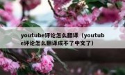 youtube评论怎么翻译（youtube评论怎么翻译成不了中文了）