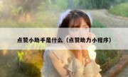 点赞小助手是什么（点赞助力小程序）