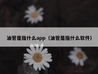 油管是指什么app（油管是指什么软件）
