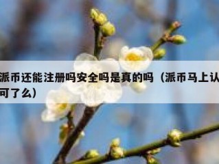派币还能注册吗安全吗是真的吗（派币马上认可了么）