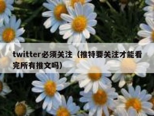 twitter必须关注（推特要关注才能看完所有推文吗）