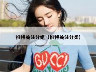 推特关注分组（推特关注分类）