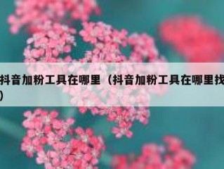 抖音加粉工具在哪里（抖音加粉工具在哪里找）