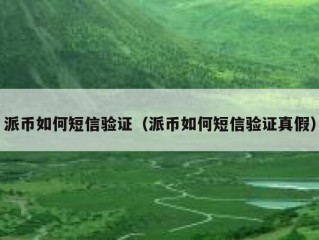 派币如何短信验证（派币如何短信验证真假）