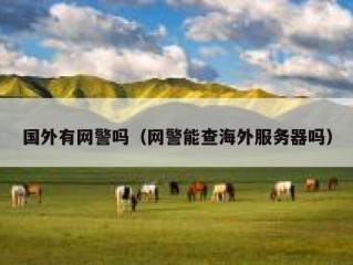 国外有网警吗（网警能查海外服务器吗）