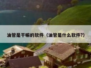 油管是干嘛的软件（油管是什么软件?）