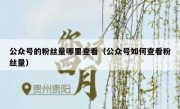 公众号的粉丝量哪里查看（公众号如何查看粉丝量）