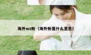 海外wz粉（海外粉是什么意思）