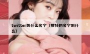 twitter叫什么名字（推特的名字叫什么）