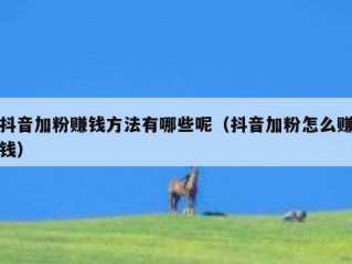 抖音加粉赚钱方法有哪些呢（抖音加粉怎么赚钱）