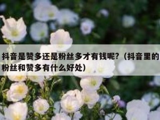 抖音是赞多还是粉丝多才有钱呢?（抖音里的粉丝和赞多有什么好处）