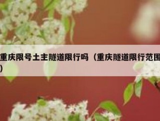 重庆限号土主隧道限行吗（重庆隧道限行范围）