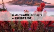 instagram查看（instagram查看翻译没反应）