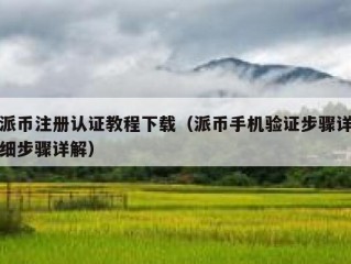 派币注册认证教程下载（派币手机验证步骤详细步骤详解）