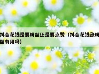 抖音花钱是要粉丝还是要点赞（抖音花钱涨粉丝有用吗）