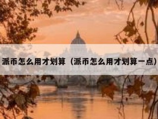 派币怎么用才划算（派币怎么用才划算一点）