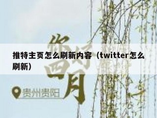 推特主页怎么刷新内容（twitter怎么刷新）