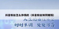 抖音粉丝怎么挣钱的（抖音粉丝如何赚钱）