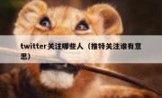 twitter关注哪些人（推特关注谁有意思）