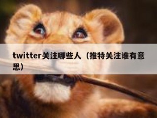 twitter关注哪些人（推特关注谁有意思）