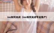 ins如何关闭（ins如何关闭专业账户）