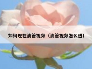 如何现在油管视频（油管视频怎么进）