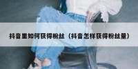 抖音里如何获得粉丝（抖音怎样获得粉丝量）