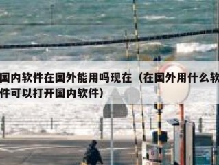 国内软件在国外能用吗现在（在国外用什么软件可以打开国内软件）