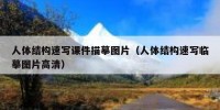 人体结构速写课件描摹图片（人体结构速写临摹图片高清）