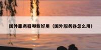 国外服务器哪些好用（国外服务器怎么用）