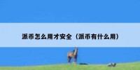 派币怎么用才安全（派币有什么用）
