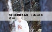 tiktok收益怎么算（tiktok开通收益）