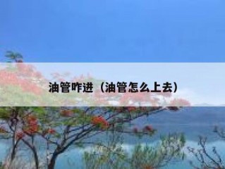 油管咋进（油管怎么上去）