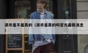 派币是不是真的（派币是真的吗官方最新消息）