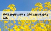 派币注册电话验证不了（派币注册出现错误怎么办）